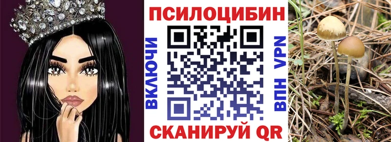MEGA ТОР Кашира Псилоцибиновые грибы мицелий